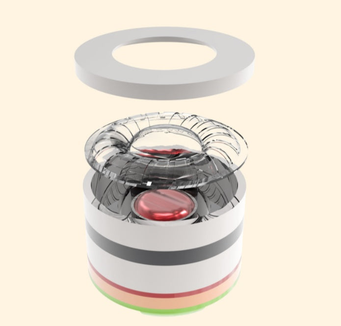 Language Translator Earbuds