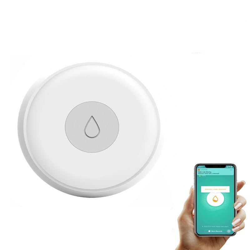 Smart Water Leakage Detector