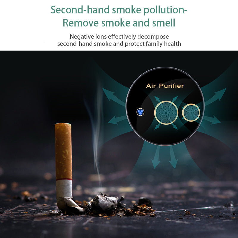 Portable Solar Electric Air Purifier