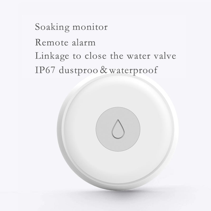 Smart Water Leakage Detector