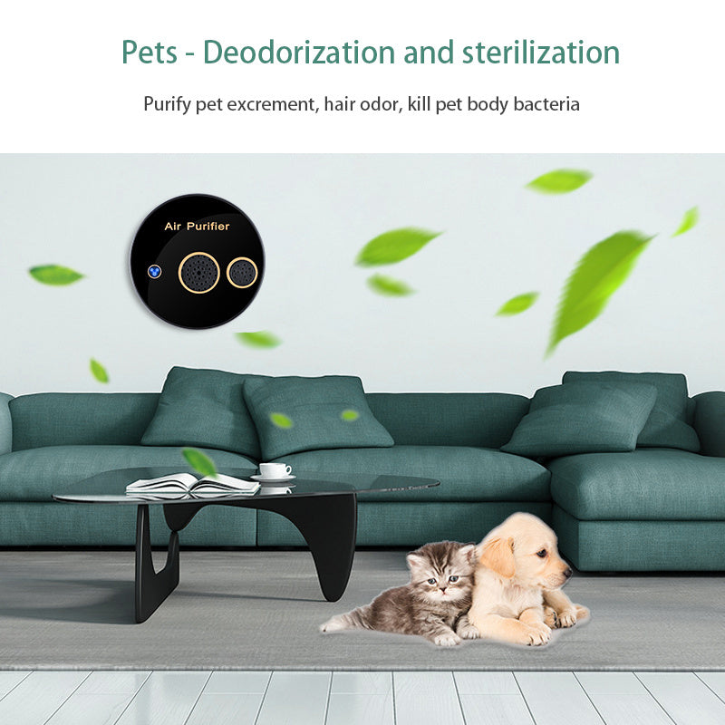 Portable Solar Electric Air Purifier