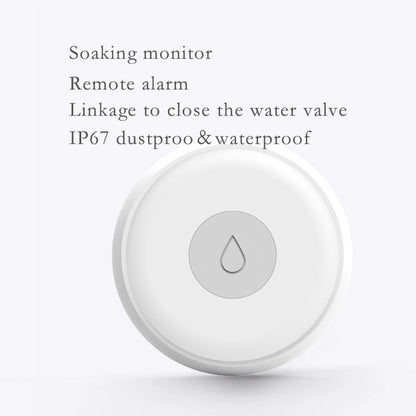 Smart Water Leakage Detector