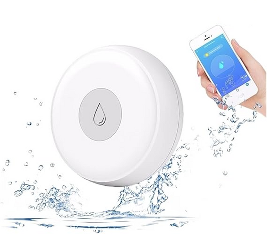 Smart Water Leakage Detector